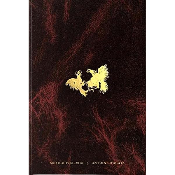 ついに再販開始！】 新品 絶版初版 ANTICORPS ANTONIE D'AGATA asakusa